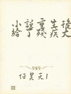 小说重生后我嫁给了残疾大佬