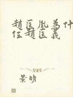 赵匡胤为什么传位赵匡义