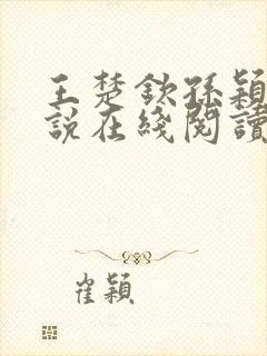 王楚钦孙颖莎小说在线阅读