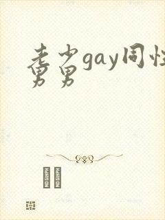 老少gay同性男男