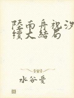 陆南舟祝汐瑶后续大结局封面