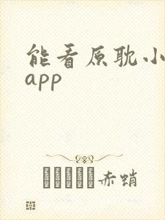 能看原耽小说的app封面