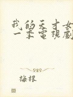 我的天才女友第一季电视剧