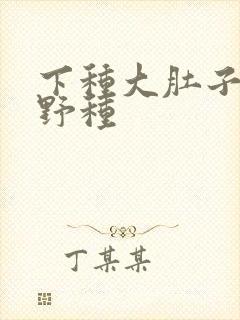 下种大肚子怀孕野种