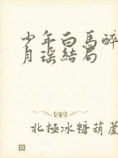 少年白马醉春风月瑶结局封面