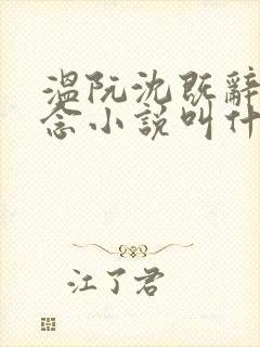 温阮沈既辞许念念小说叫什么封面