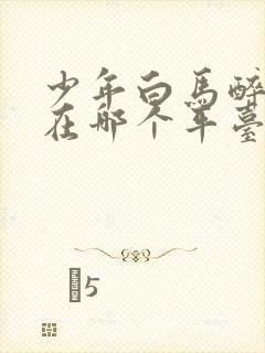 少年白马醉春风在哪个平台播放