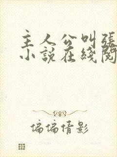 主人公叫张晨的小说在线阅读