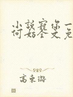 小说宠你一世又何妨全文免费阅读