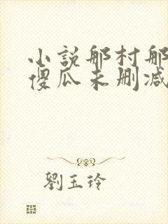 小说那村那人那傻瓜未删减版