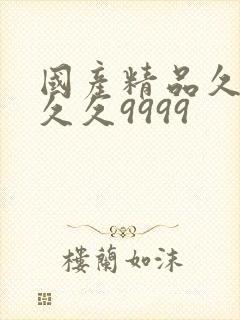 国产精品久久久久久9999封面