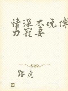 情深不晚傅少实力宠妻