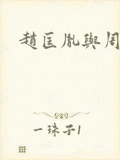 赵匡胤与周娥皇