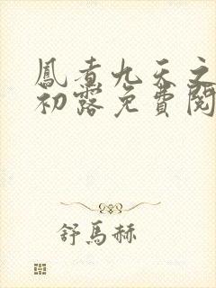 凤煮九天之风华初露免费阅读全文