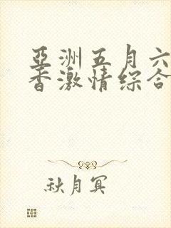 亚洲五月六月丁香激情综合网