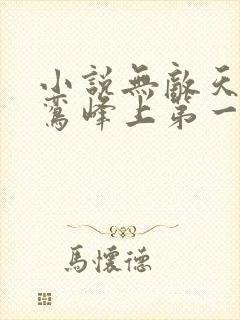 小说无敌天命青鸾峰上第一集