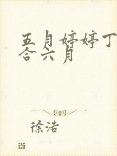 五月婷婷丁香综合六月