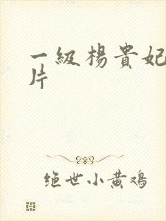 一级杨贵妃秘史片