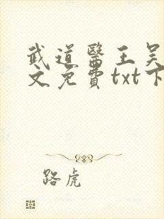 武道医王吴东全文免费txt下载