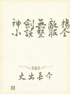 神剑无敌杨小天小说整版全文下载