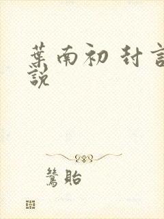 叶南初 封言小说