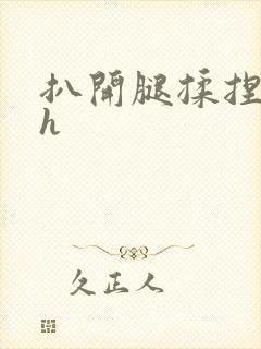 扒开腿揉捏花蒂h