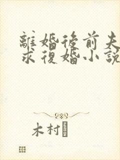 离婚后前夫哭着求复婚小说全部章节