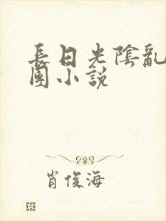 长日光阴乱作一团小说