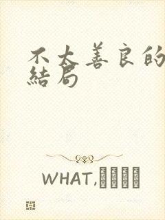 不太善良的我们结局封面