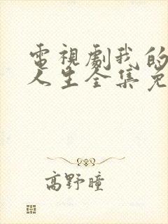 电视剧我的灿烂人生全集免费观看封面