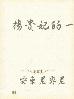 杨贵妃的一级片封面