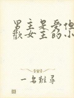 男主是受但是喜欢女主的小说