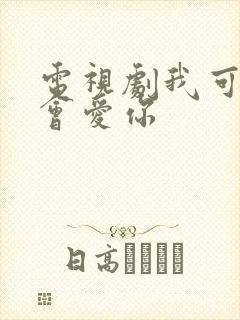 电视剧我可能不会爱你