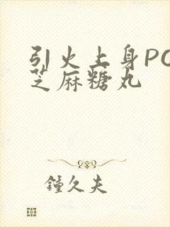 引火上身POP芝麻糖丸