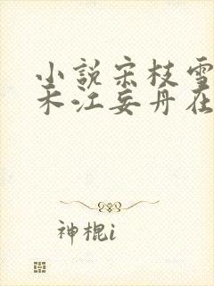 小说宋枝雪顾婉禾江妄舟在线阅读