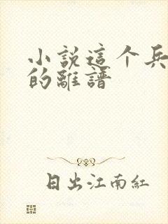 小说这个兵王强的离谱