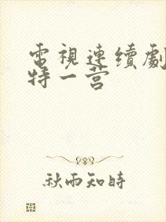 电视连续剧我的特一营