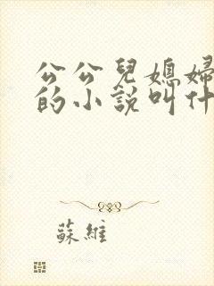 公公儿媳妇扒灰的小说叫什么
