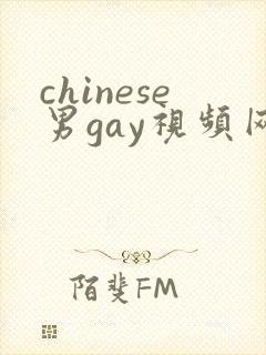 chinese男gay视频网站
