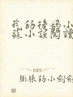 我的后妈小姨苏苏小说阅读