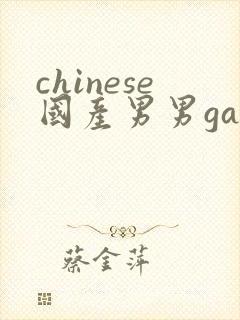 chinese国产男男gaygay网站