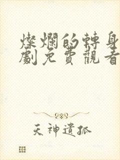 灿烂的转身电视剧免费观看高清