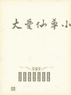 大爱仙尊小说封面