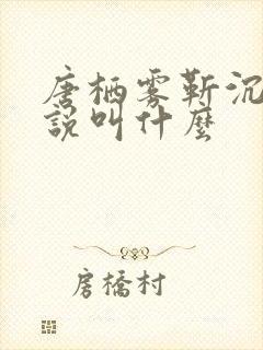 唐栖雾靳沉野小说叫什么