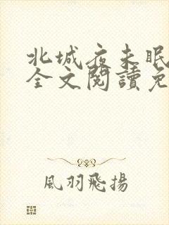 北城夜未眠小说全文阅读免费封面