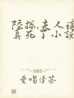 陆总,夫人这次真死了小说