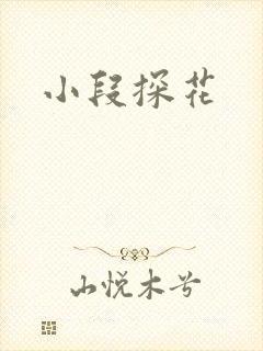 小段探花封面
