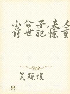 小公子,夫人带前世记忆重生救府小说