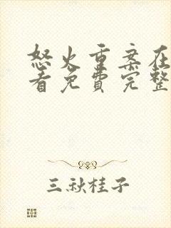 怒火重案在线观看免费完整版封面