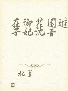 在御花园进入太子妃沈音